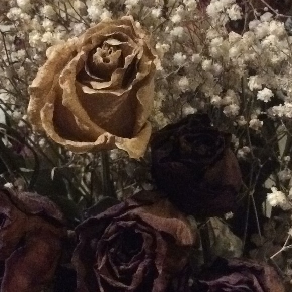 Meet your Posher, Melissa - Picture 1 of 1